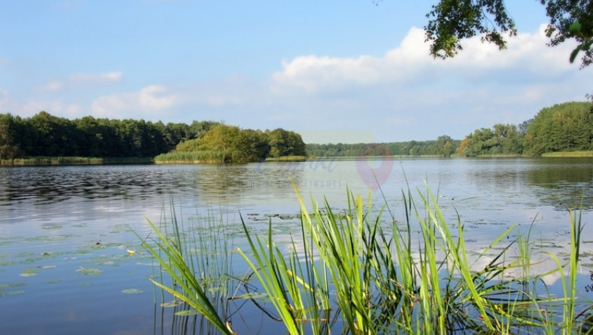 Działka Sprzedaż Warnice