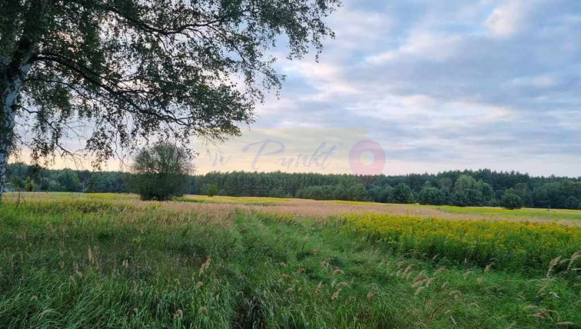 Działka Sprzedaż Szczecin Wielgowo Żywiczna