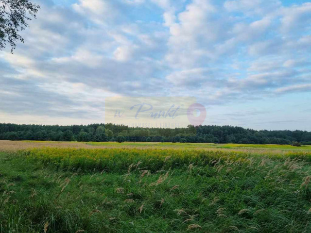 Działka Sprzedaż Szczecin Wielgowo Żywiczna