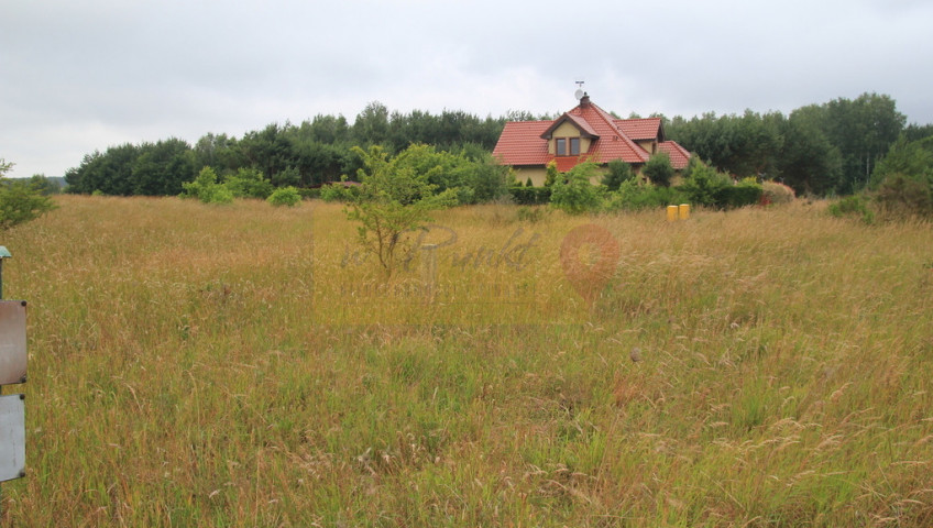 Działka Sprzedaż Charzyno