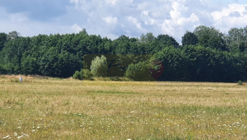 Działka Sprzedaż Dobropole Gryfińskie