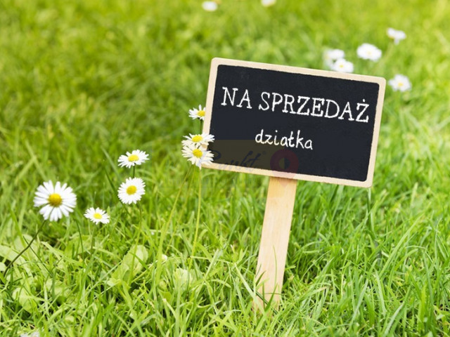 Działka Sprzedaż Wołczkowo