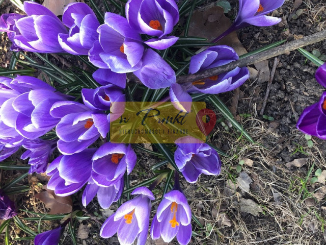 Działka Sprzedaż Szczecin Bezrzecze