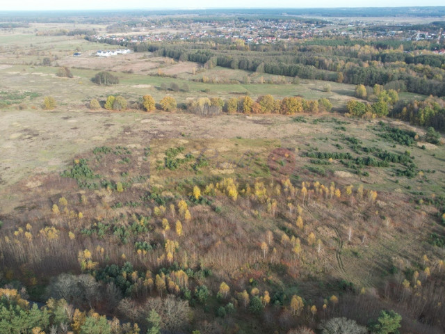 Działka Sprzedaż Buk