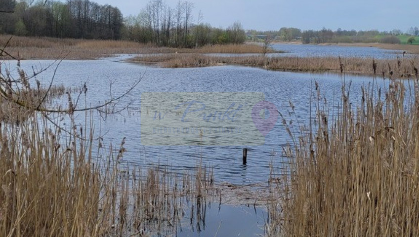 Działka Sprzedaż Zieleniewo