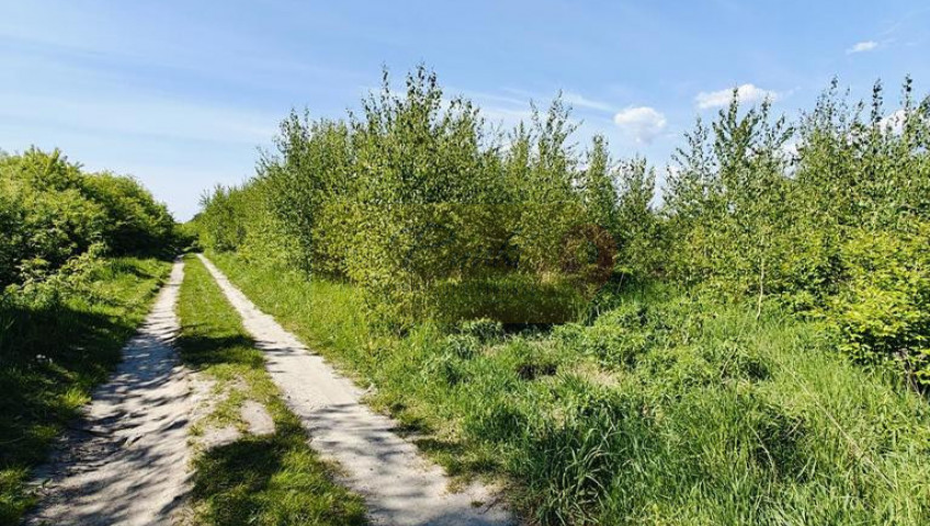 Działka Sprzedaż Goleniów