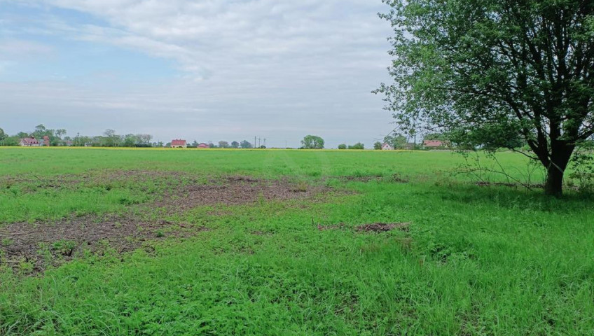 Działka Sprzedaż Giżyn