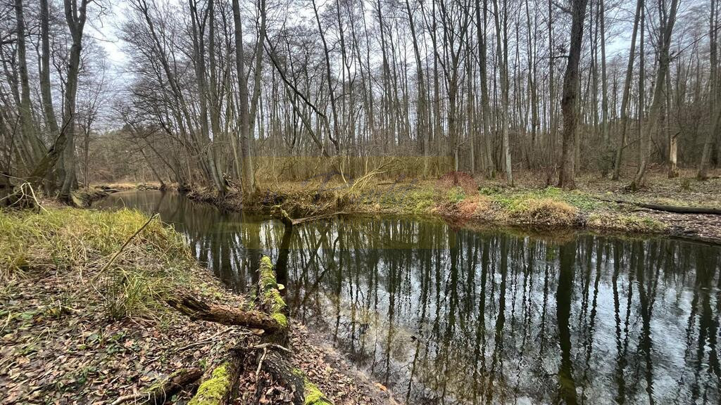 Działka na turystykę z dostępem do rzeki Płonia