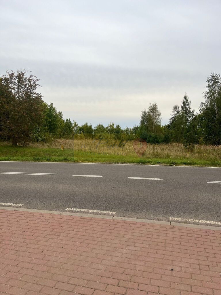 Działka Sprzedaż Storkowo