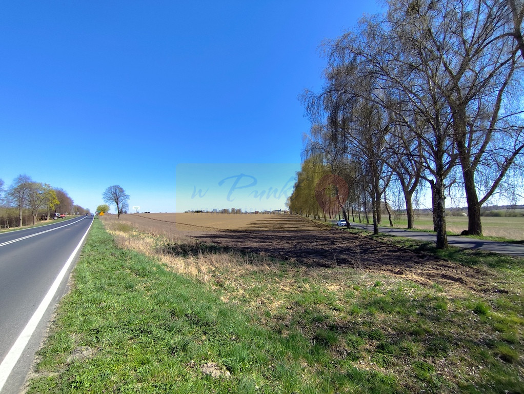 Działka Sprzedaż Wojcieszyn