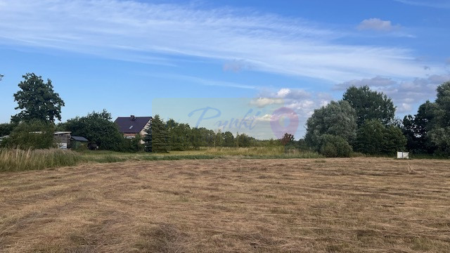 Działka Sprzedaż Tatynia