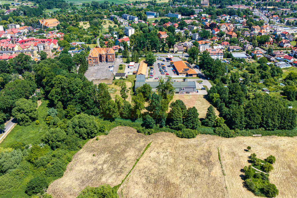Działka Sprzedaż Chojna