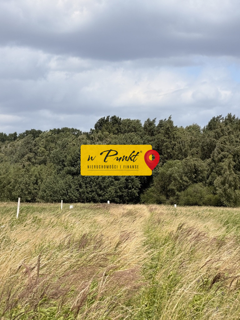 Działka Sprzedaż Niedźwiedź