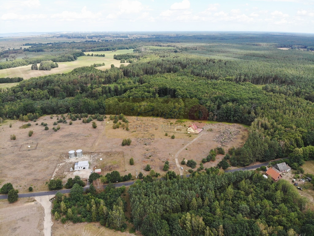 Działka Sprzedaż Stepnica