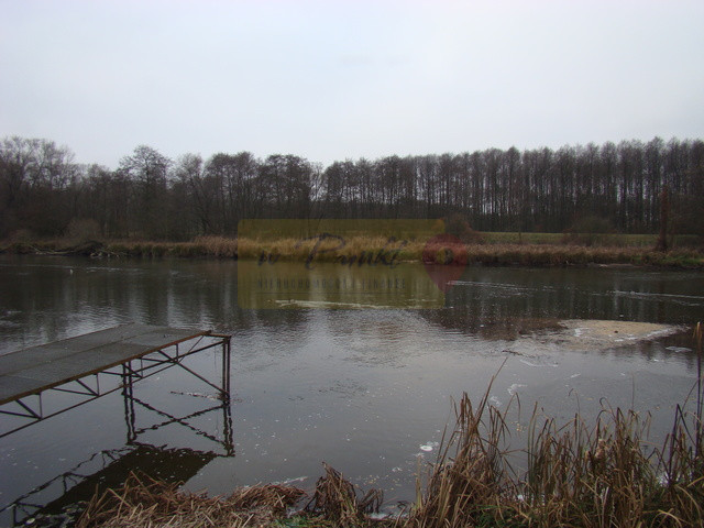 Działka Sprzedaż Pniewo