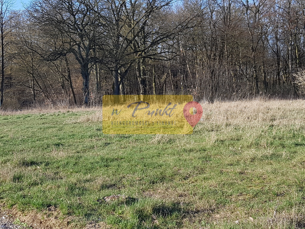 Działka Sprzedaż Kościno