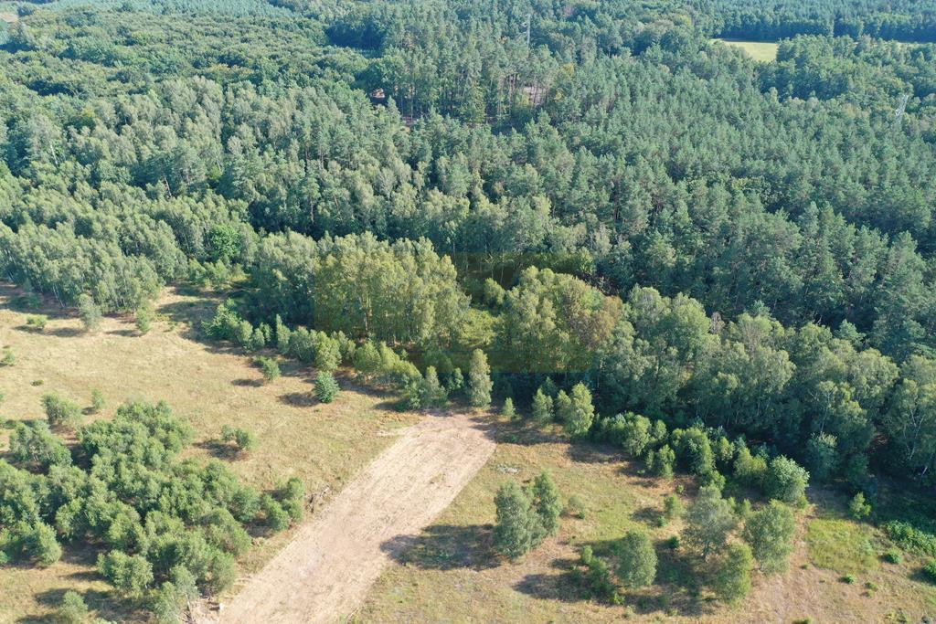 Działka budowlana pod lasem w niższej cenie