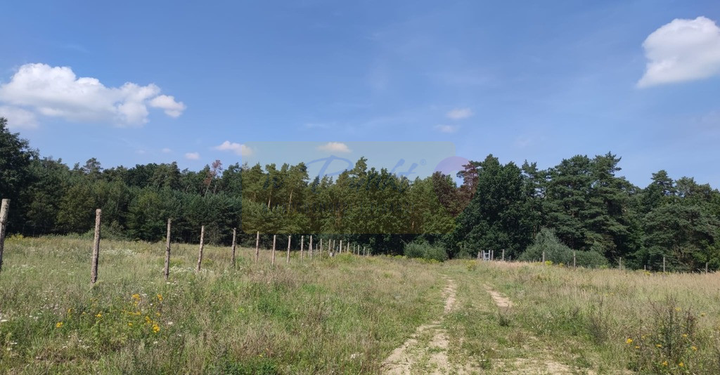 Działka Sprzedaż Kościno