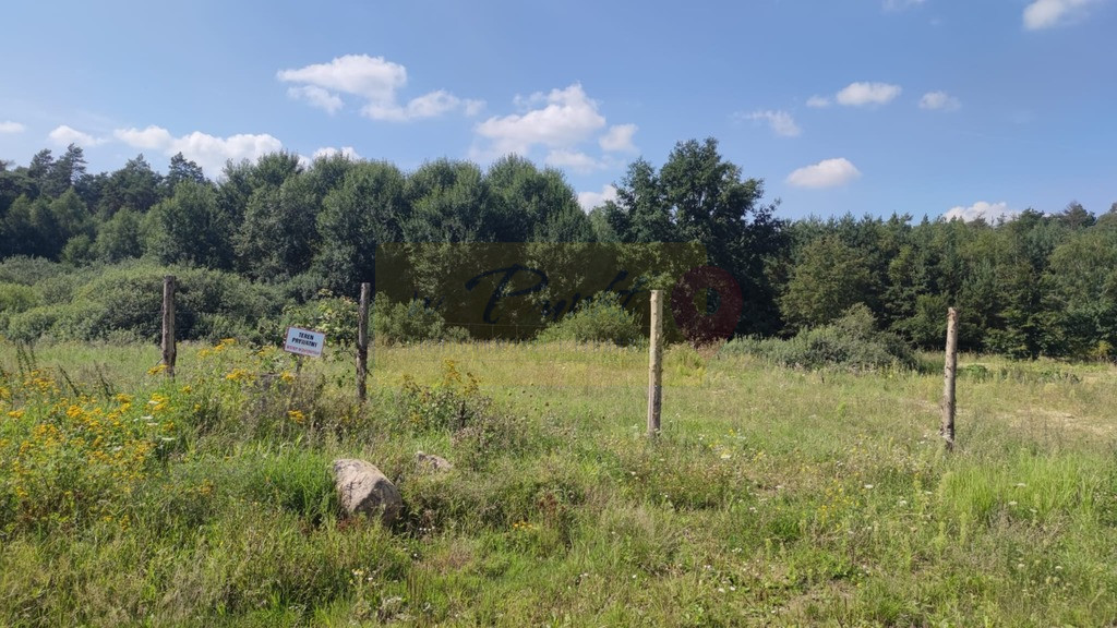 Działka Sprzedaż Kościno