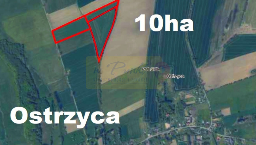 Działka Sprzedaż Ostrzyca