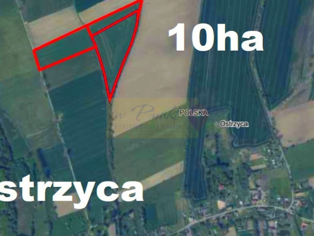 Działka inwestycyjna 10h pod Nowogardem 5zł za m2