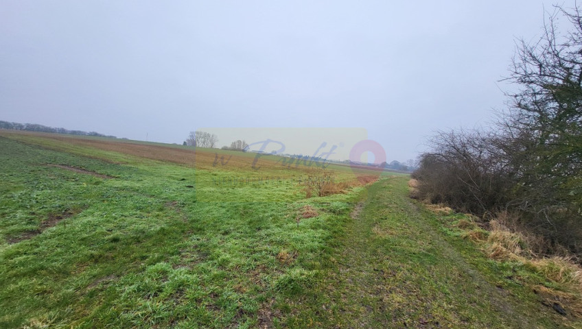 Działka Sprzedaż Warzymice