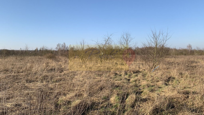 Działka Sprzedaż Żółwia Błoć
