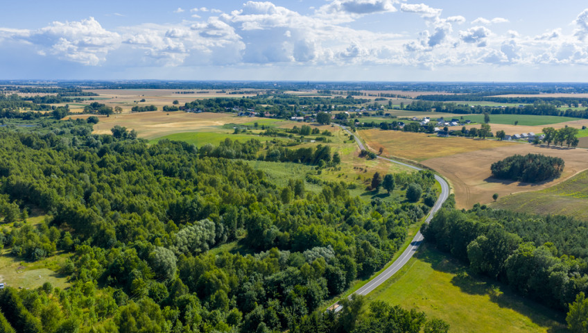 Działka Sprzedaż Grabowo