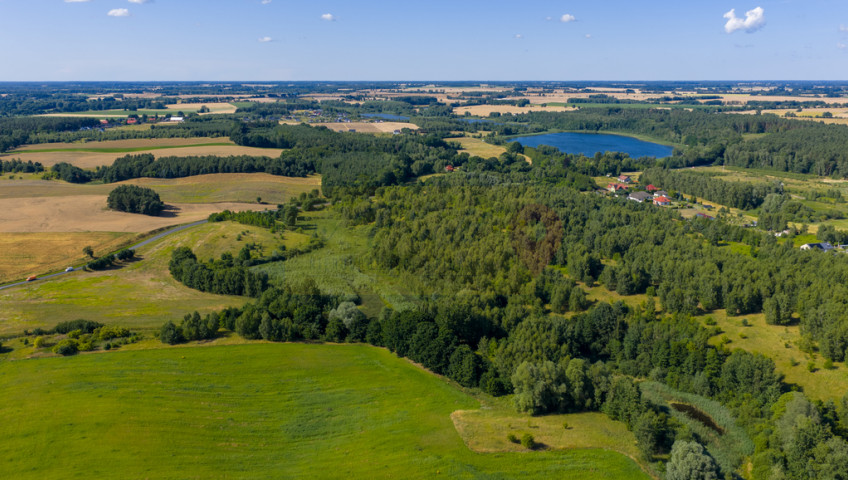Działka Sprzedaż Grabowo