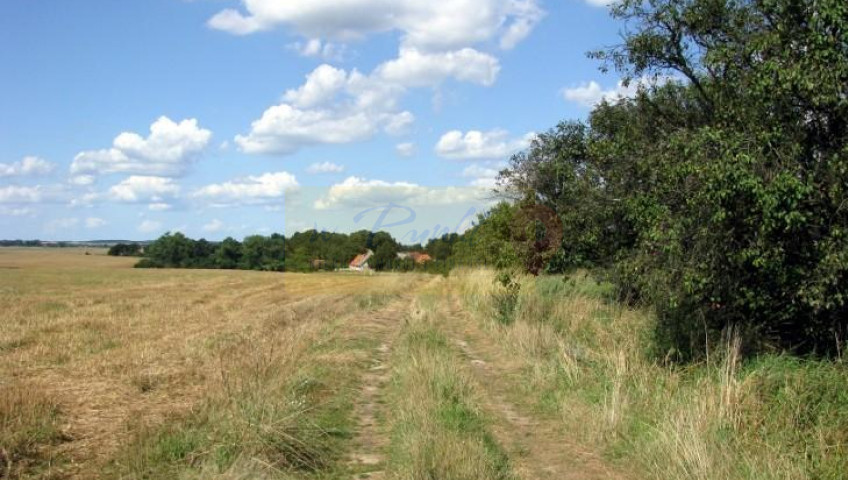 Działka Sprzedaż Barnisław