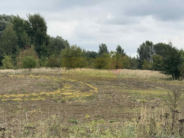 Działka Sprzedaż Stara Dąbrowa