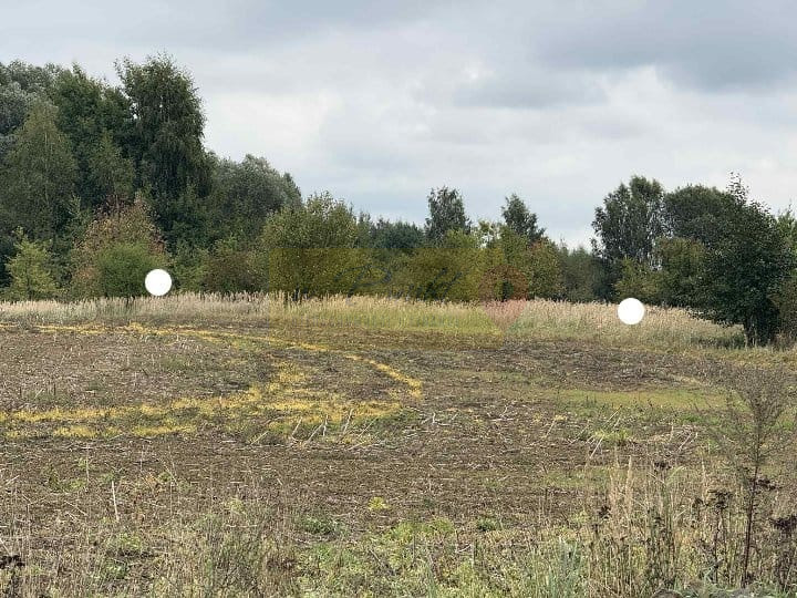 Działka Sprzedaż Stara Dąbrowa