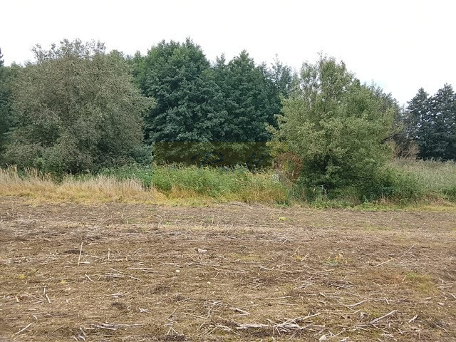 Działka Sprzedaż Stara Dąbrowa