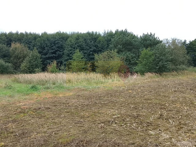 Działka Sprzedaż Stara Dąbrowa