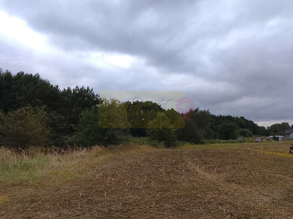 Działka Sprzedaż Stara Dąbrowa