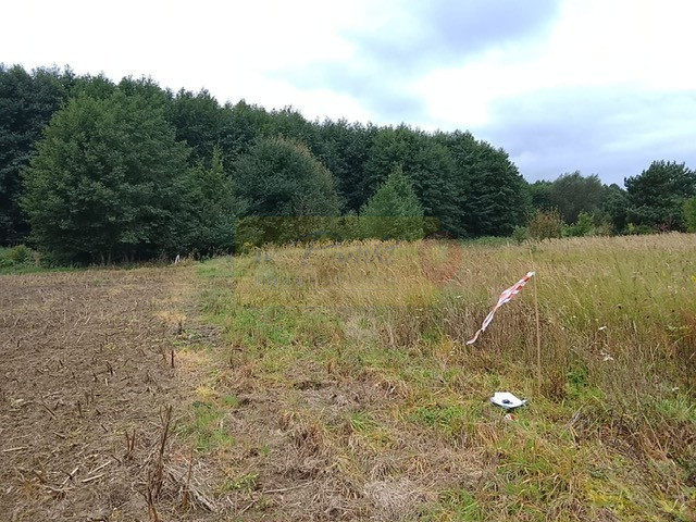 Działka Sprzedaż Stara Dąbrowa