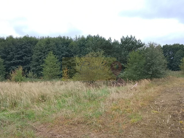 Działka Sprzedaż Stara Dąbrowa
