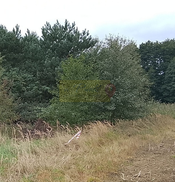 Działka Sprzedaż Stara Dąbrowa