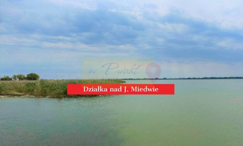 Działka Sprzedaż Wierzbno