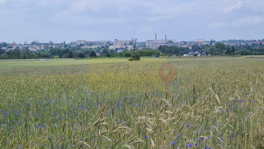 Działka Sprzedaż Stargard
