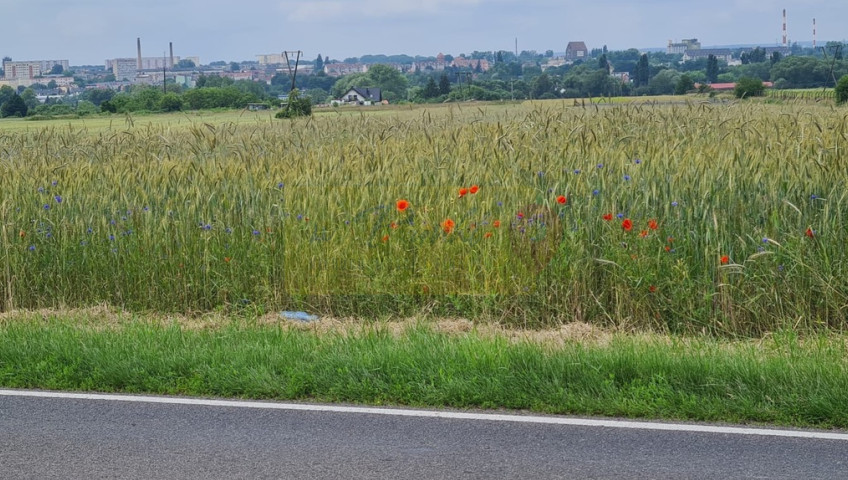 Działka Sprzedaż Stargard