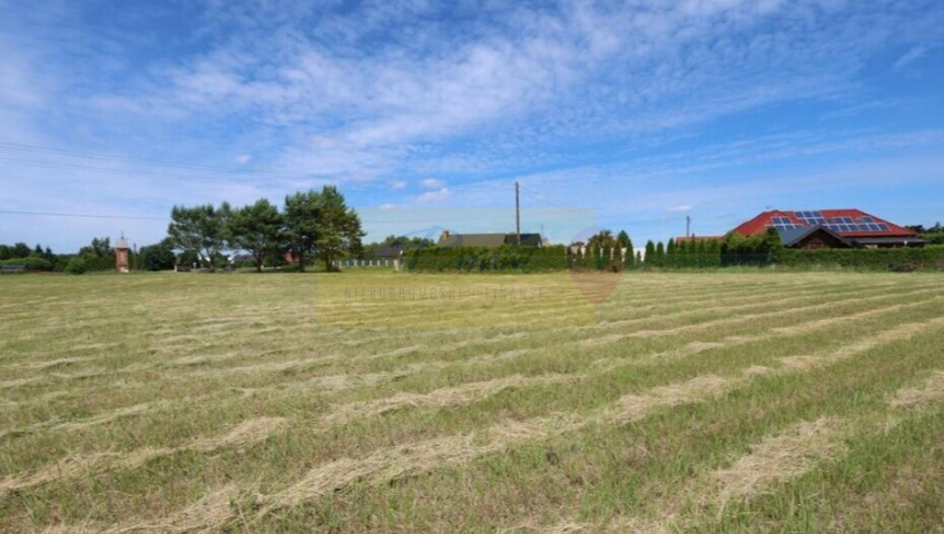 Działka Sprzedaż Żdżary
