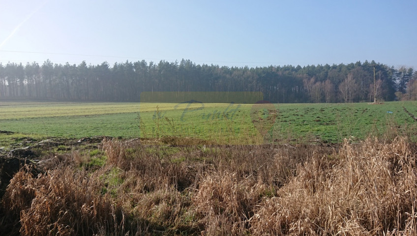 Obiekt Sprzedaż Raduń