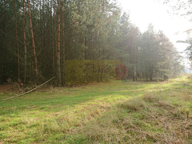 Działka Sprzedaż Starzyce