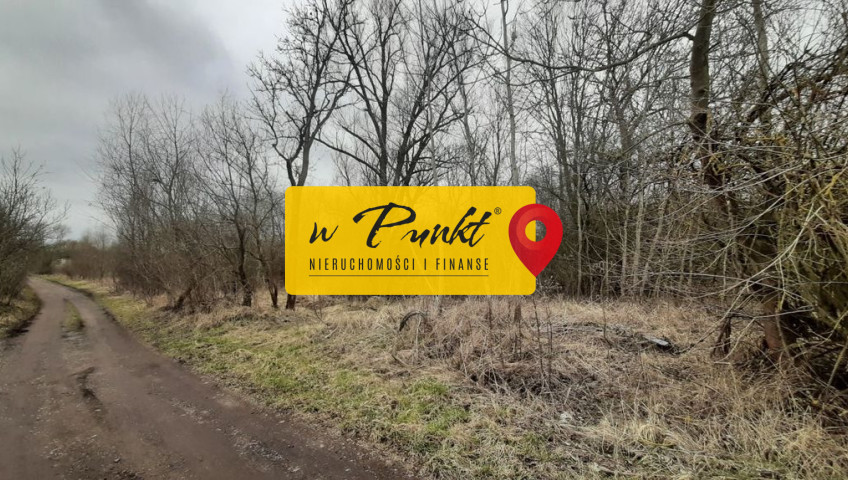 Działka Sprzedaż Karwowo