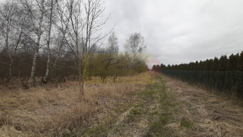 Działka Sprzedaż Karwowo