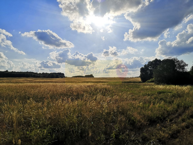 Działka inwestycyjna Wąwelnica 3,73 ha !!!