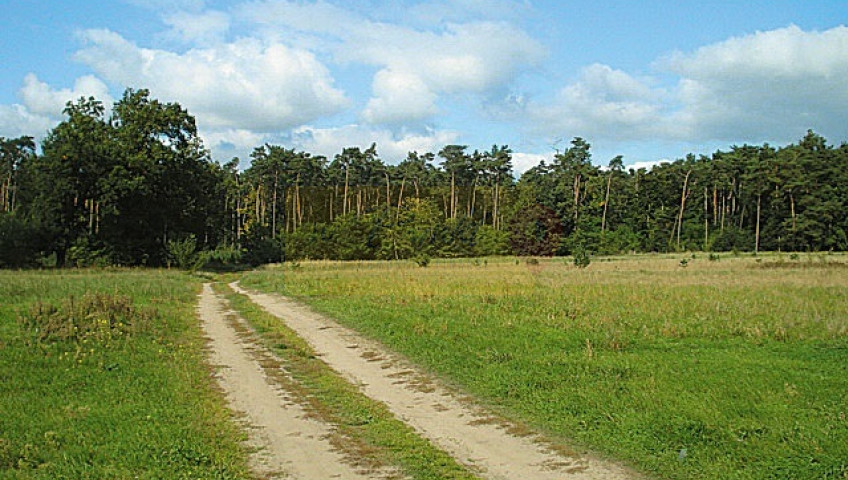 Działka Sprzedaż Kościno