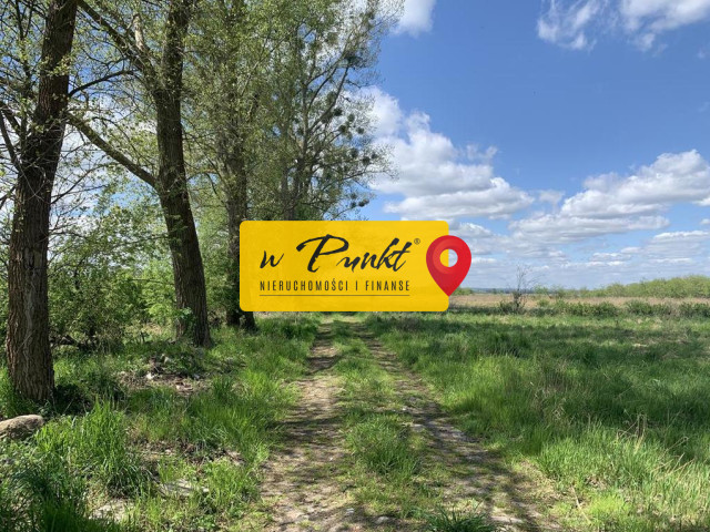 Działka Sprzedaż Kliniska Wielkie Bażancia