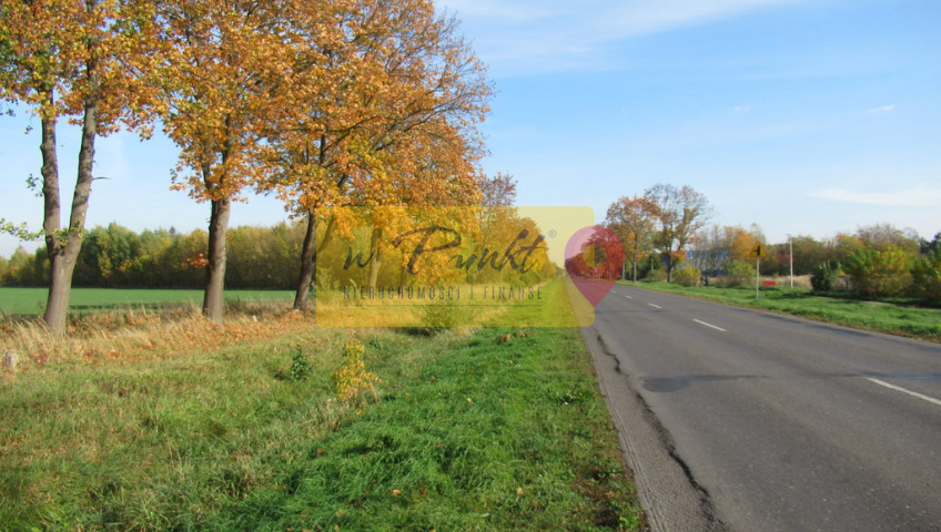 Działka Sprzedaż Kobylanka